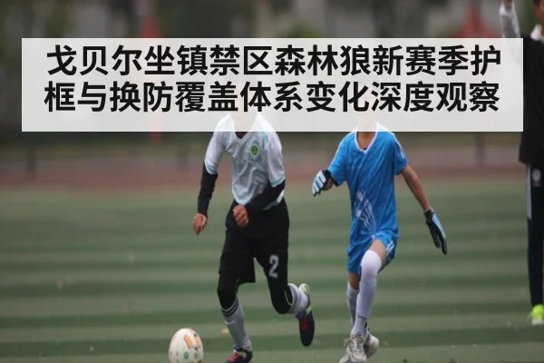 戈贝尔坐镇禁区森林狼新赛季护框与换防覆盖体系变化深度观察